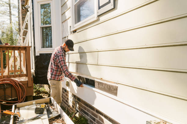 Top rated local Emergency Siding Repair specialists in Woodbury, MN